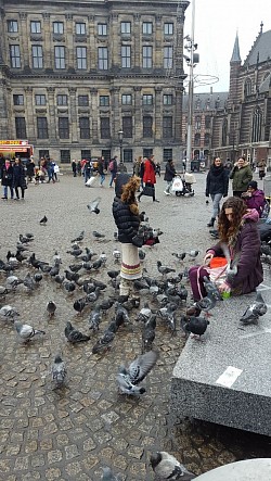 Woman holding the pidgeons in Amsterdam