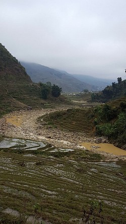 Fields upon fields in Sapa, Vietnam